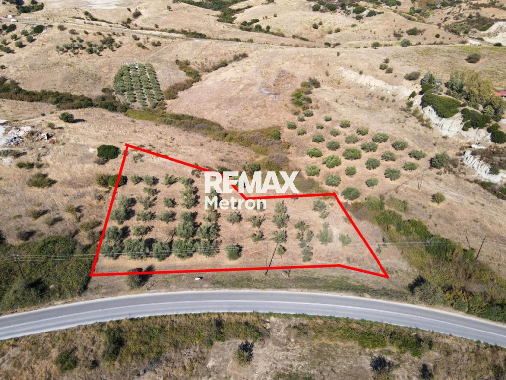 Αγροτεμάχια 3.532,58 τ.μ. πρός πώληση, Χαλκιδική, Σιθωνία