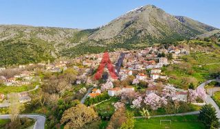 Αγροτεμάχια 3.325 τ.μ. για πώληση