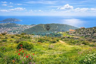 Land plot 620 sqm for sale