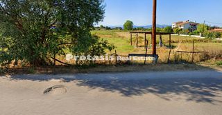 Οικόπεδο 3.500,21 τ.μ. πρός πώληση, Εύβοια, Ωρεοί-thumb-3