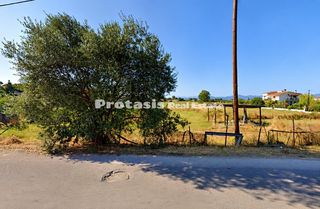 Οικόπεδο 3.500,21 τ.μ. πρός πώληση, Εύβοια, Ωρεοί-thumb-4