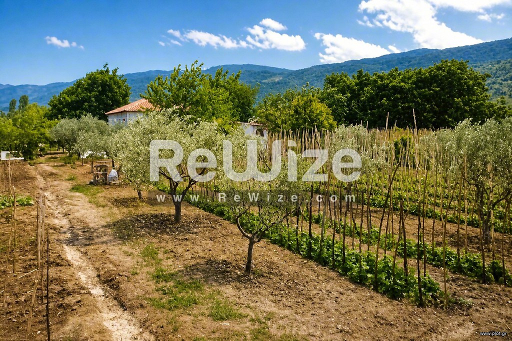 Αγροτεμάχια 2.792 τ.μ. προς πώληση, Εύβοια, Ωρεοί