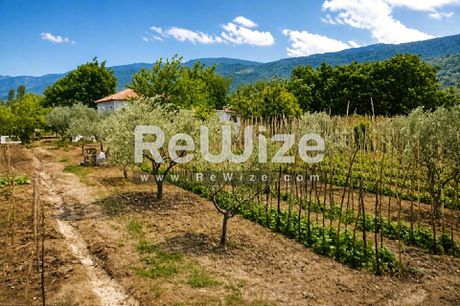 Αγροτεμάχια 2.792 τ.μ. προς πώληση