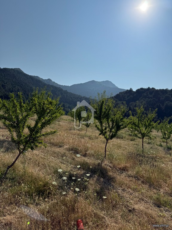 Αγροτεμάχια 30.000 τ.μ. προς πώληση, Μενδενίτσα