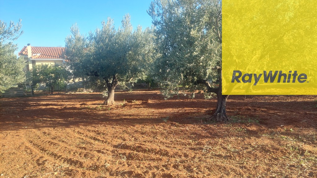 Μονοκατοικία 43 τ.μ. πρός πώληση, Κορινθία, Βόχα