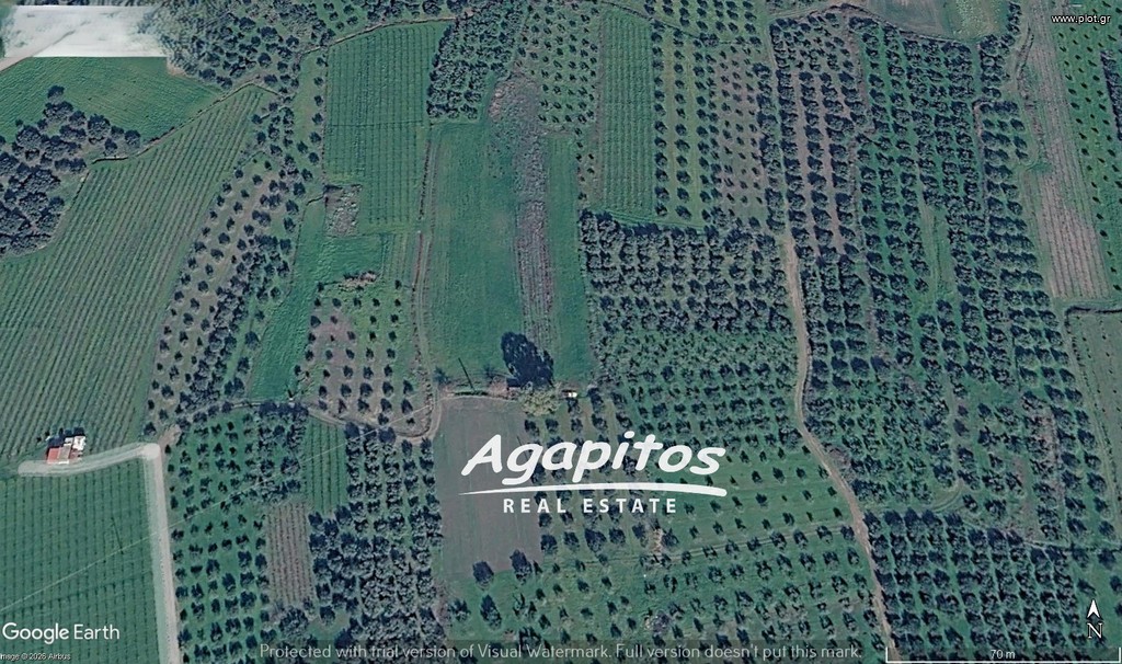 Αγροτεμάχια 2.543 τ.μ. προς πώληση, Κέντρο Αστερουσίων