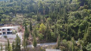 Αγροτεμάχια 1.176 τ.μ. προς πώληση, Σφακιώτες-thumb-4