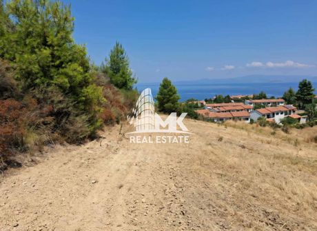 Αγροτεμάχια 4.000 τ.μ. πρός πώληση