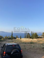 Οικόπεδο 10.000 τ.μ. προς πώληση
