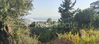 Οικόπεδο 242 τ.μ. για πώληση