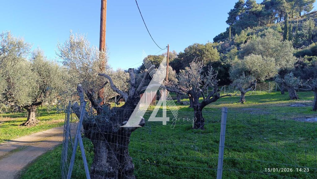 Οικόπεδο 965 τ.μ. πρός πώληση, Αχαΐα, Ακράτα
