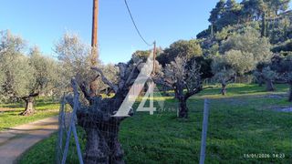 Οικόπεδο 965 τ.μ. προς πώληση