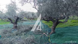 Οικόπεδο 965 τ.μ. προς πώληση, Ακράτα-thumb-1