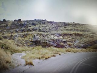 Οικόπεδο 31.600 τ.μ. για πώληση