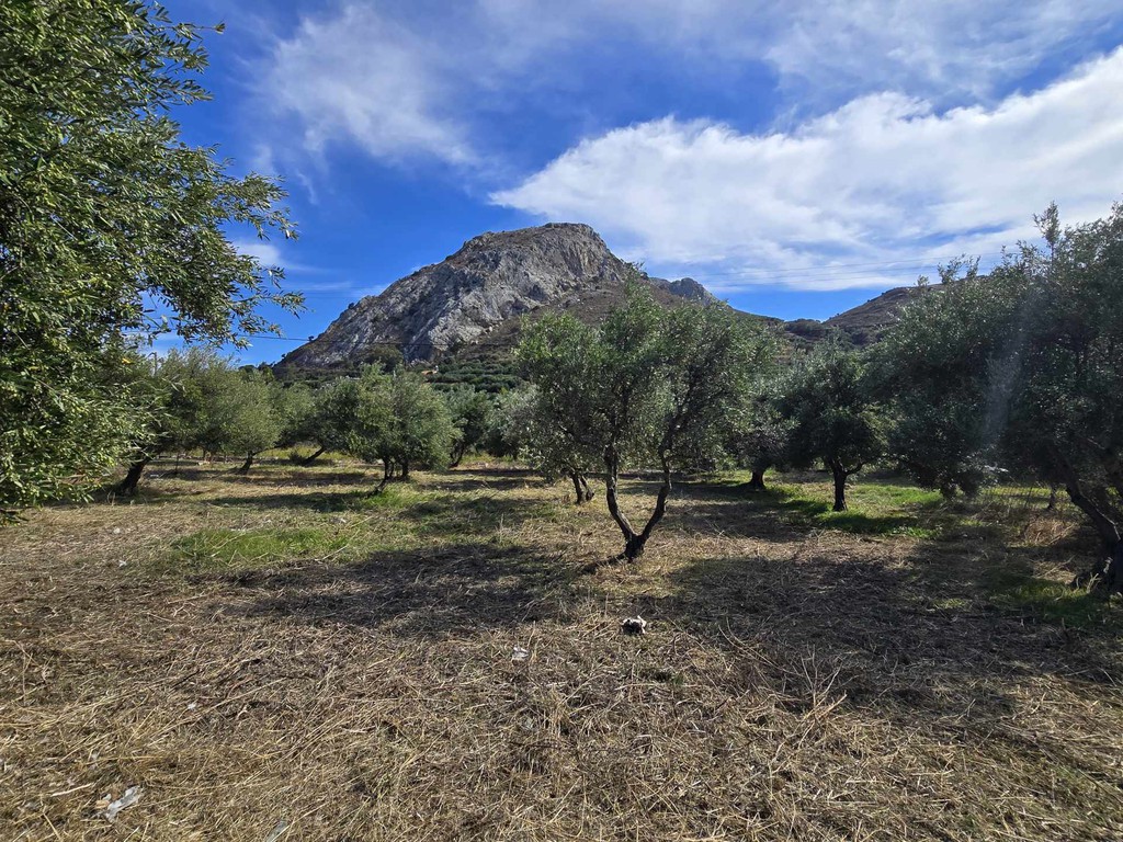 Αγροτεμάχια 2.367 τ.μ. πρός πώληση, Ν. Ρεθύμνου, Φοινίκας