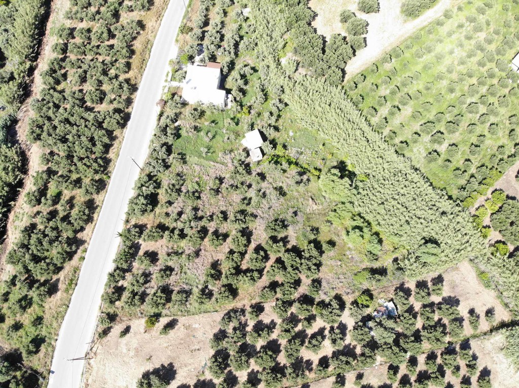 Αγροτεμάχια 2.367 τ.μ. πρός πώληση, Ν. Ρεθύμνου, Φοινίκας