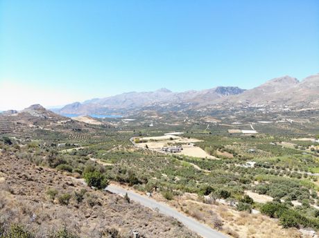 Αγροτεμάχια 2.650 τ.μ. προς πώληση