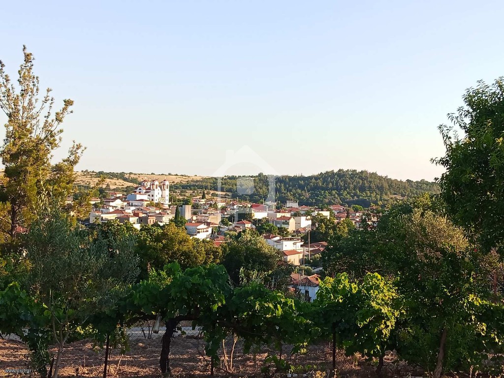 Οικόπεδο 411 τ.μ. προς πώληση, Ξυλαγανή