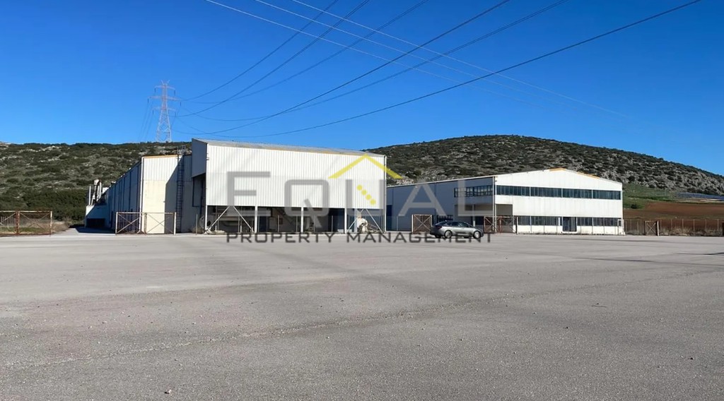 Βιομηχανικός χώρος 4.475 τ.μ. πρός ενοικίαση, Βοιωτία, Θήβα