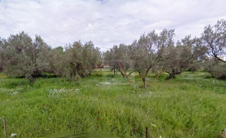 Οικόπεδο 785 τ.μ. πρός πώληση