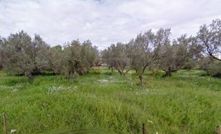 Οικόπεδο 785 τ.μ. πρός πώληση