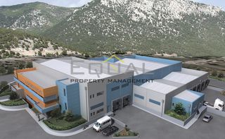 Οικόπεδο 9.300 τ.μ. πρός πώληση