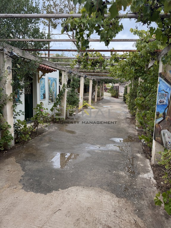 Μονοκατοικία 65 τ.μ. προς ενοικίαση, Καλύβια Θορικού