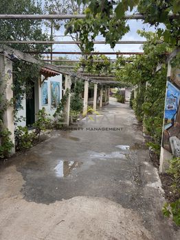 Μονοκατοικία 65 τ.μ. προς ενοικίαση