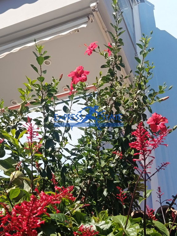 Διαμέρισμα 67 τ.μ. πρός ενοικίαση, Αθήνα - Ανατολικά Προάστια, Νέα Μάκρη
