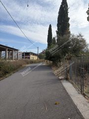 Αγροτεμάχια 12.116 τ.μ. πρός πώληση, Μεσσηνία, Οιχαλία-thumb-4