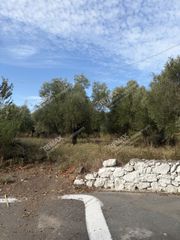 Οικόπεδο 2.340 τ.μ. προς πώληση, Οιχαλία-thumb-5