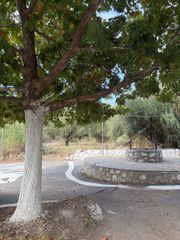 Οικόπεδο 2.340 τ.μ. προς πώληση, Οιχαλία-thumb-3