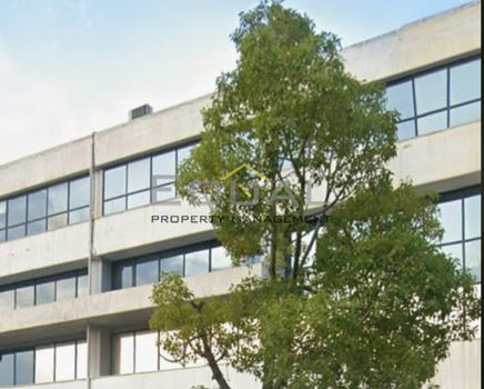 Office 1.100 sqm for rent