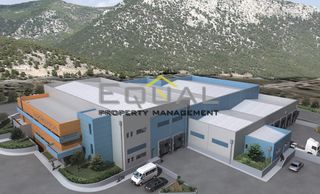Business bulding 9.300 sqm for sale