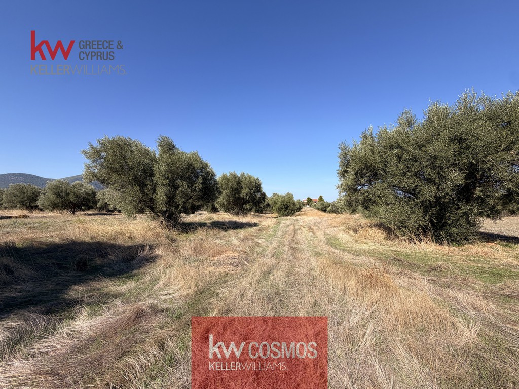 Αγροτεμάχια 2.548 τ.μ. πρός πώληση, Εύβοια, Ανθηδώνος