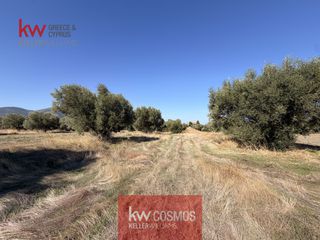 Αγροτεμάχια 2.548 τ.μ. προς πώληση