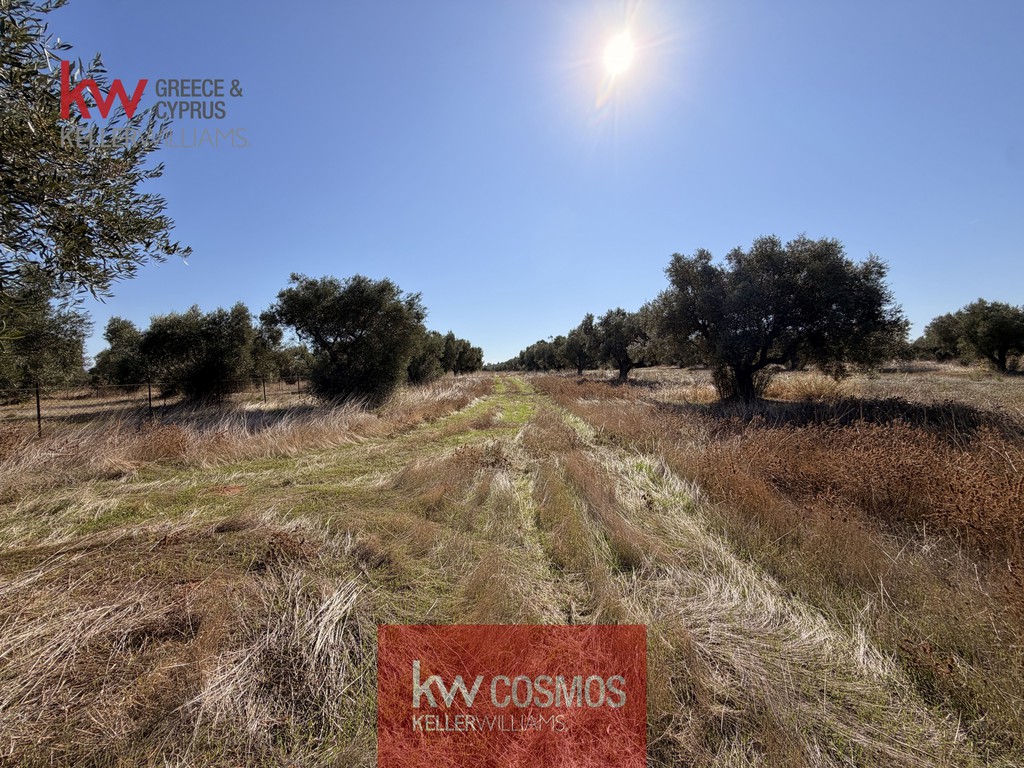 Αγροτεμάχια 2.548 τ.μ. πρός πώληση, Εύβοια, Ανθηδώνος