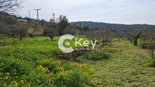 Οικόπεδο 377 τ.μ. πρός πώληση