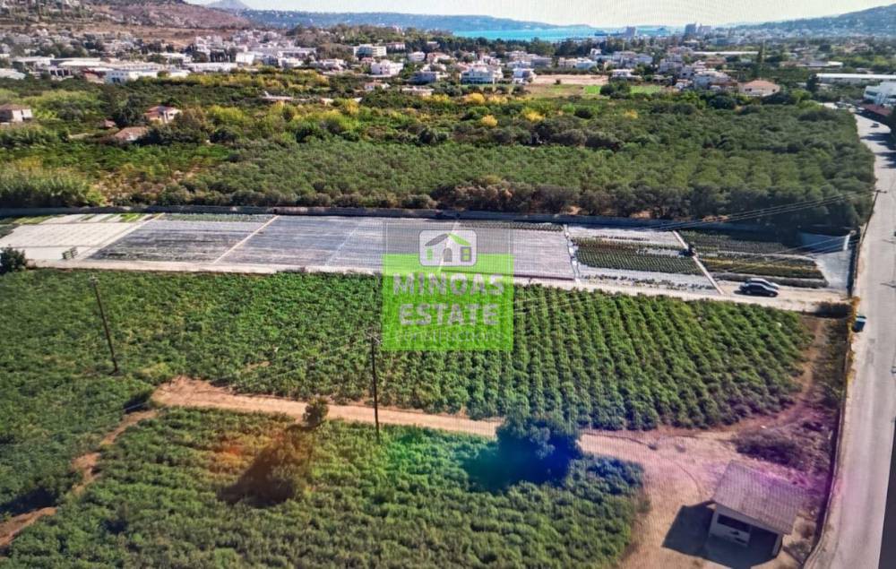 Οικόπεδο 5.000 τ.μ. προς ενοικίαση, Ν. Χανίων, Χανιά