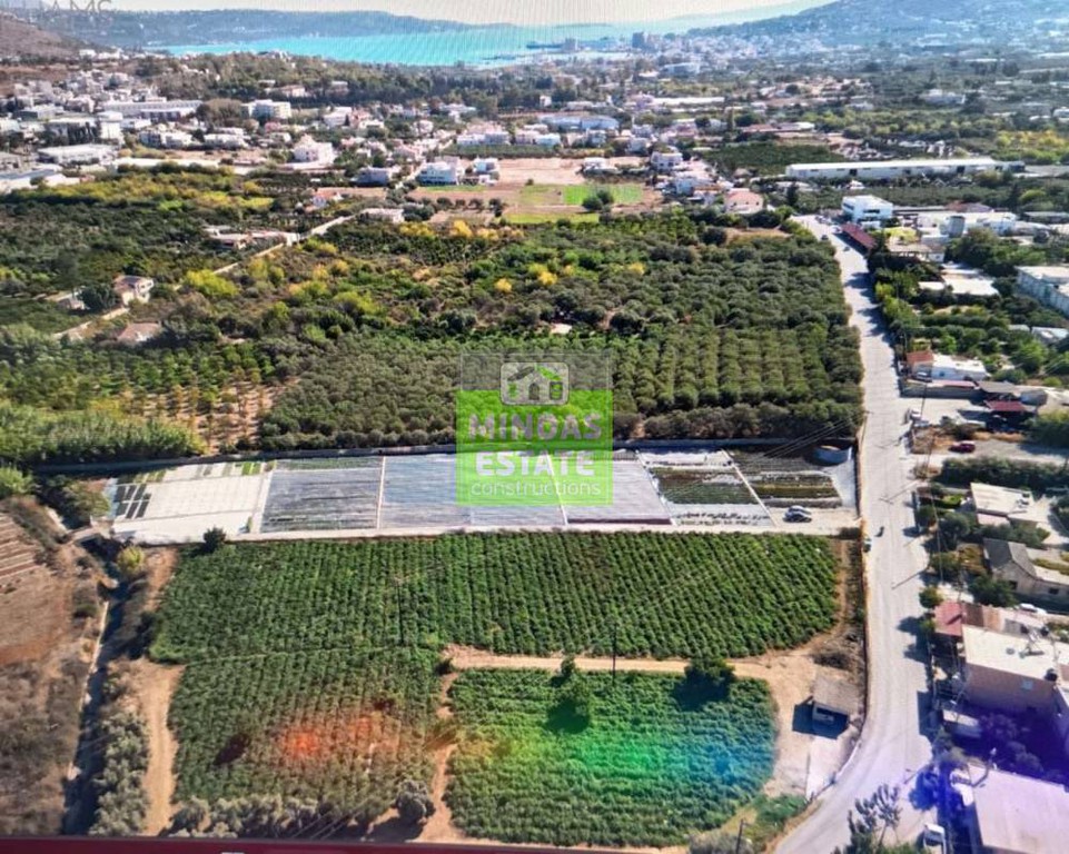 Οικόπεδο 5.000 τ.μ. προς ενοικίαση, Ν. Χανίων, Χανιά