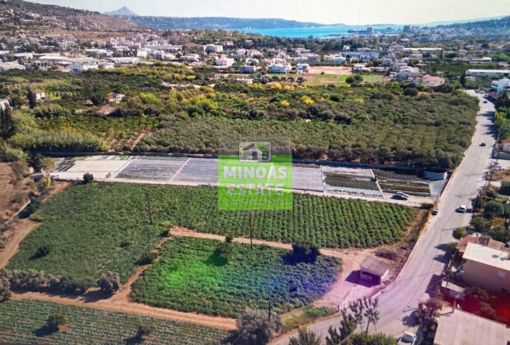 Οικόπεδο 5.000 τ.μ. προς ενοικίαση, Ν. Χανίων, Χανιά