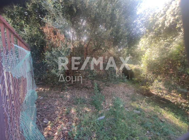 Οικόπεδο 2.258 τ.μ. πρός πώληση, Μαγνησία, Πορταριά