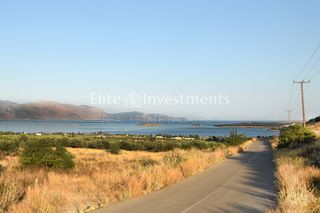 Οικόπεδο 4.250 τ.μ. πρός πώληση, Φωκίδα, Γαλαξίδι-thumb-4