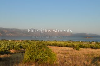 Οικόπεδο 4.250 τ.μ. πρός πώληση, Φωκίδα, Γαλαξίδι-thumb-2
