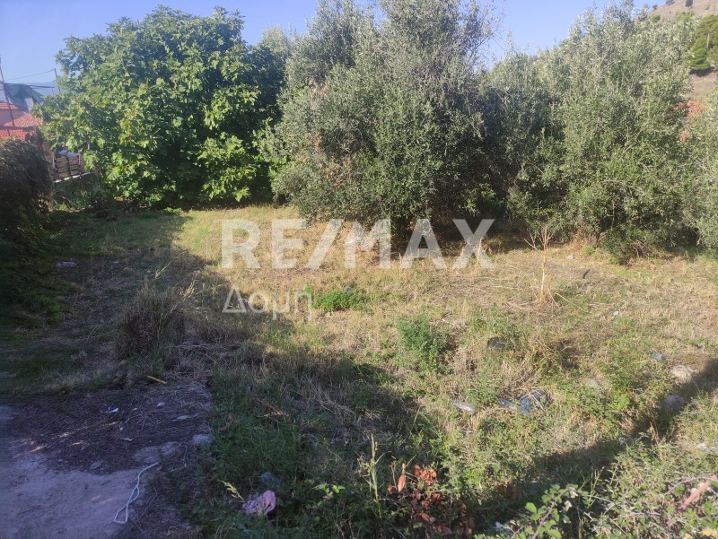 Οικόπεδο 480 τ.μ. προς πώληση, Μαγνησία, Πορταριά
