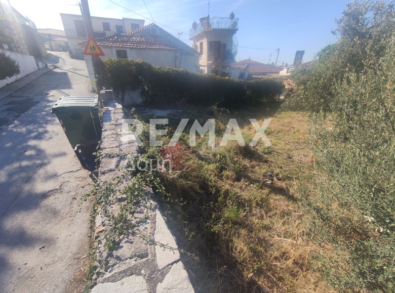 Οικόπεδο 480 τ.μ. προς πώληση, Μαγνησία, Πορταριά