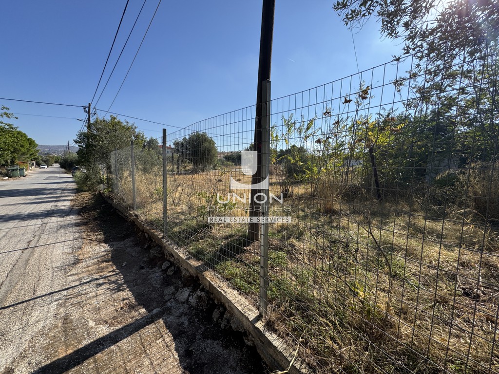 Οικόπεδο 560 τ.μ. πρός πώληση, Αθήνα - Ανατολικά Προάστια, Κορωπί