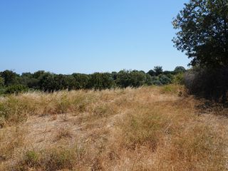 Οικόπεδο 1.800 τ.μ. για πώληση