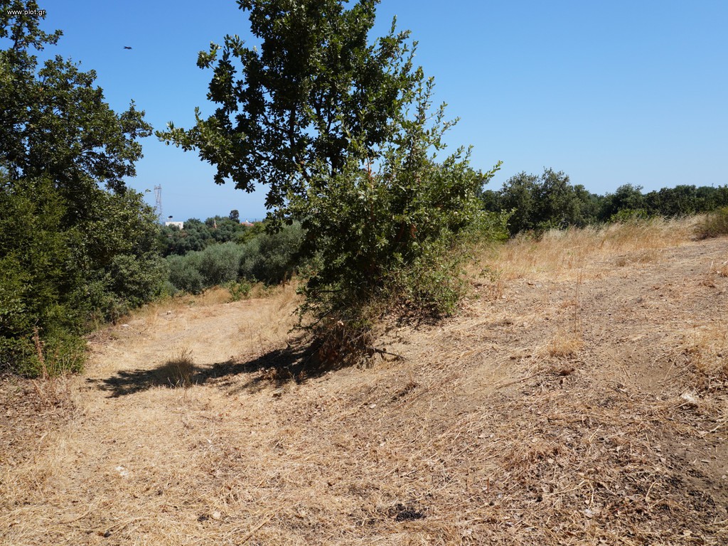 Οικόπεδο 1.800 τ.μ. προς πώληση, Ν. Ρεθύμνου, Νικηφόρος Φωκάς