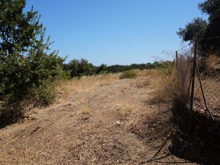 Οικόπεδο 1.800 τ.μ. πρός πώληση, Ν. Ρεθύμνου, Νικηφόρος Φωκάς-thumb-3